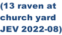 (13 raven at  church yard  JEV 2022-08)
