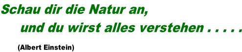 Schau dir die Natur an,      und du wirst alles verstehen . . . . .                 (Albert Einstein)