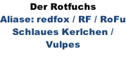 Der Rotfuchs Aliase: redfox / RF / RoFu Schlaues Kerlchen / Vulpes